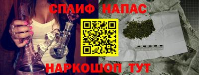 ешки Бердск