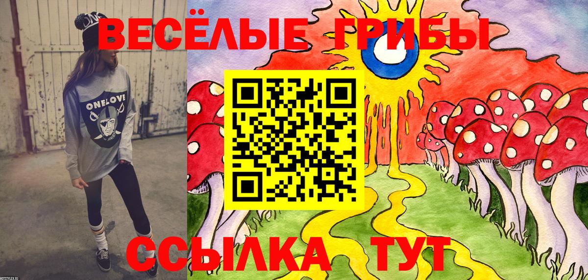 Псилоцибиновые грибы Psilocybine cubensis Канаш