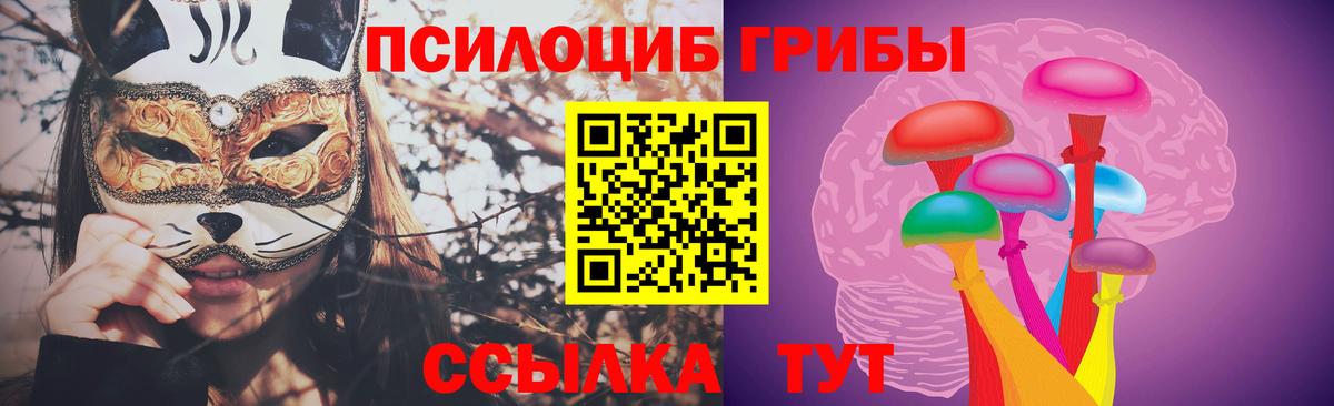 Канаш  Галлюциногенные грибы ЛСД  купить наркоту  Вход с VPN  Псилоцибиновые грибы Cubensis 