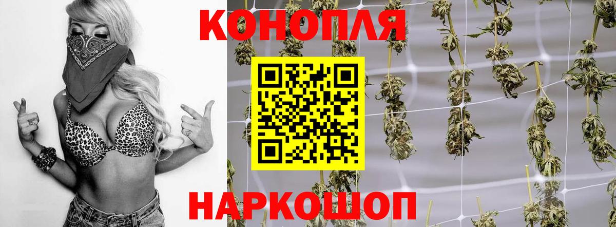 Канаш  Бошки марихуана семена  Шишки марихуана тримм  Вход с VPN  Конопля Amnesia 